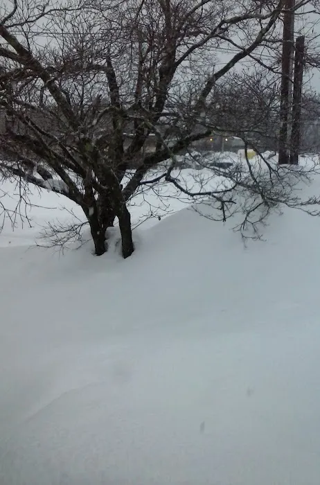 South shore mobile home park Picture 7