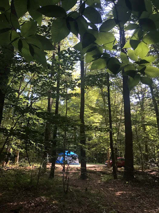 Wompatuck Camp Grounds Picture 5