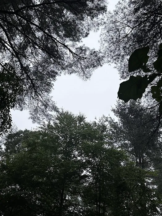 Wompatuck Camp Grounds Picture 10