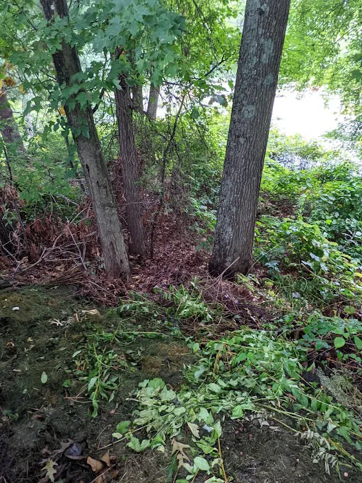 Killarney Estates Picture 1