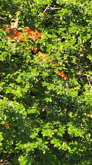 Sunset Acres Picture 4
