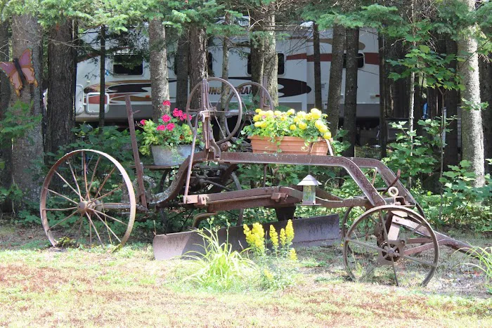 Deer River Campsite Picture 1