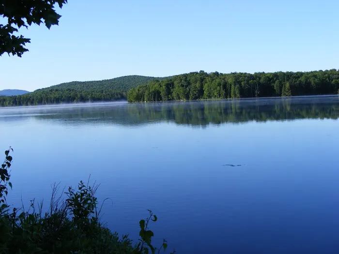Deer River Campsite Picture 4