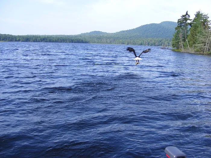 Deer River Campsite Picture 10