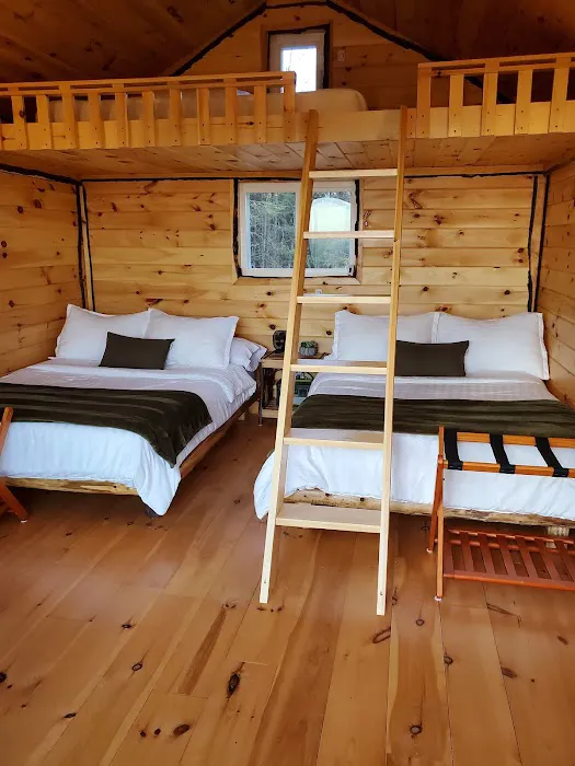 Ellea Pine Camps Picture 2