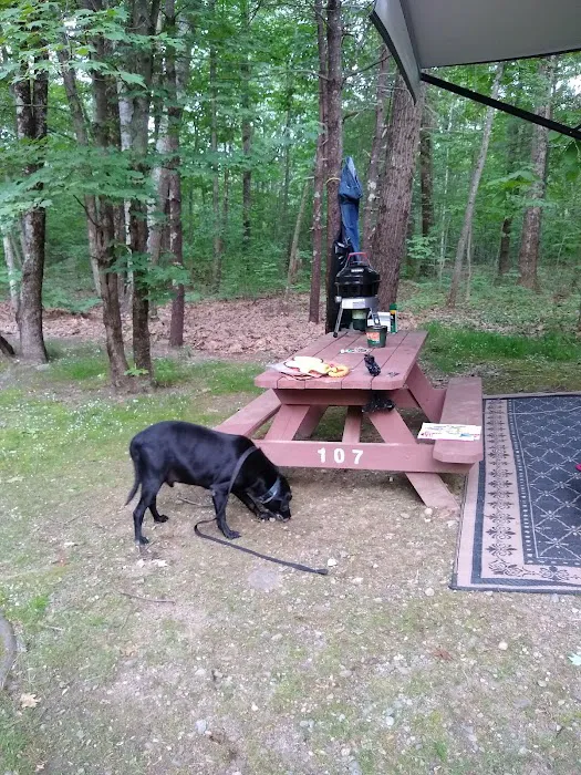 Gregoire's Campground Picture 10