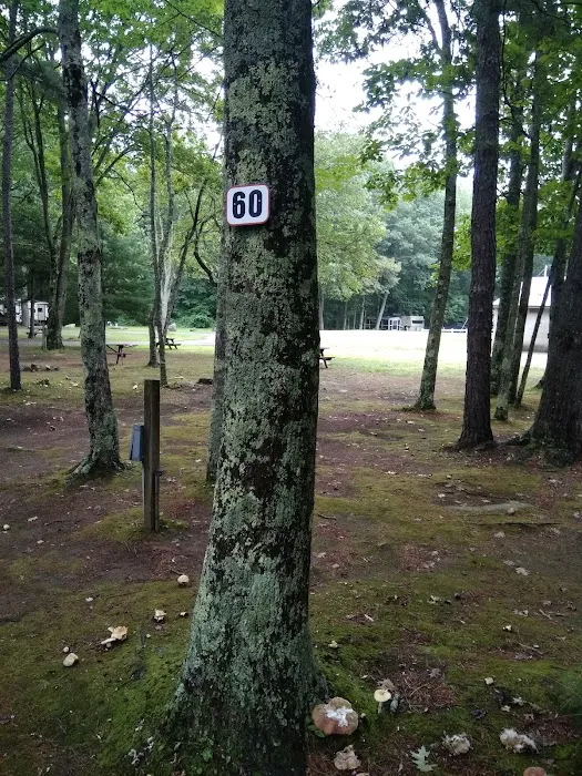 Gregoire's Campground Picture 4