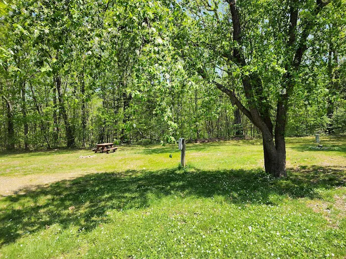 Coastal Woods Campground Picture 8