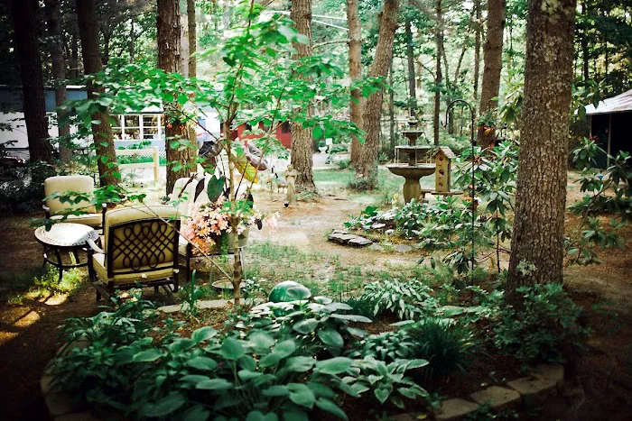 Stadig Mobile Park & Campgrnd Picture 4