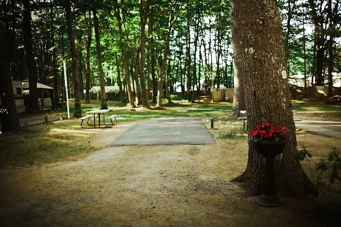 Stadig Mobile Park & Campgrnd Picture 9