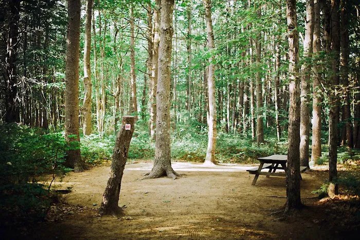 Stadig Mobile Park & Campgrnd Picture 2