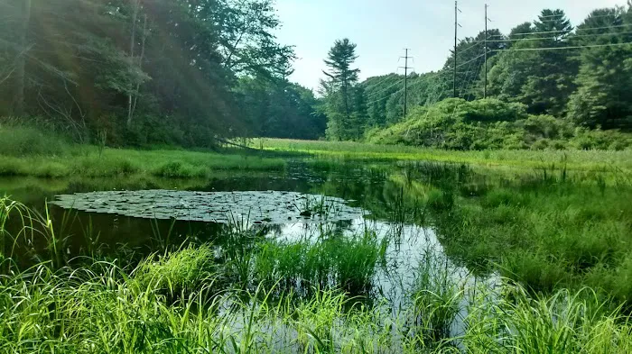Silver Springs Campground Picture 2