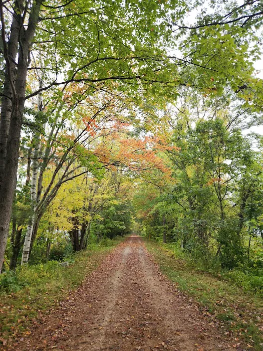 Silver Springs Campground Picture 5