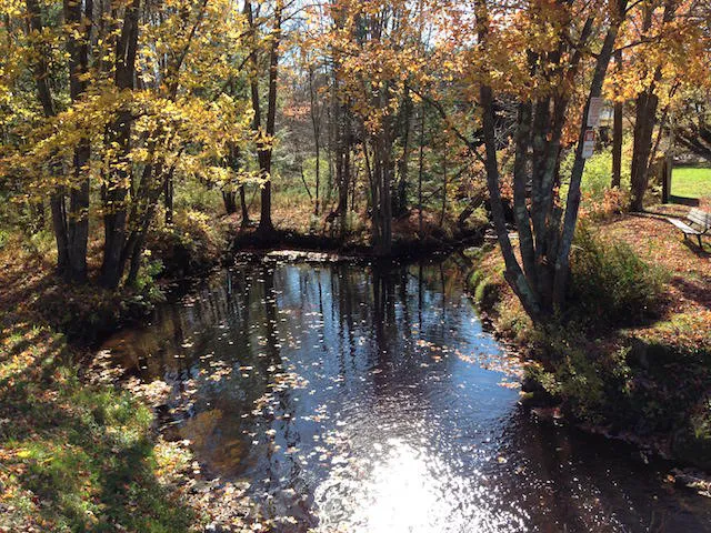 Old Orchard Beach Campground Picture 8