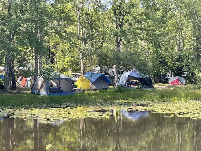 Ocean Pines Campground Picture 3