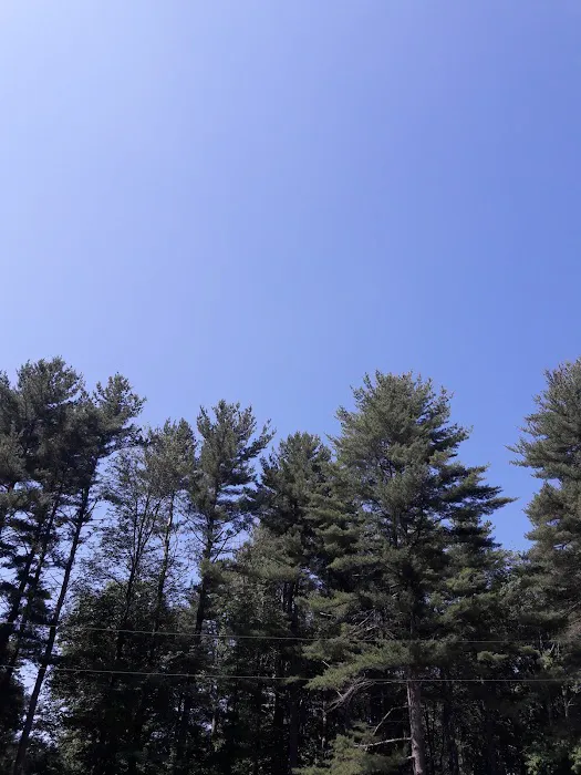 Virginia Tent at Wild Acres Picture 2