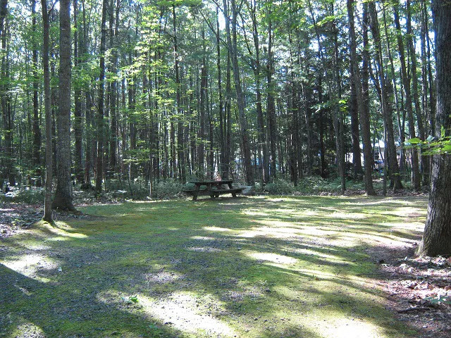 Cascadia Park Picture 4
