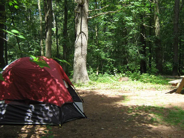 Cascadia Park Picture 2
