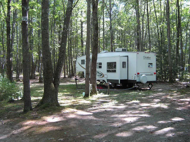 Cascadia Park Picture 1