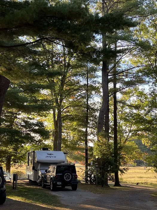 Wild Duck Adult Campground & RV Park Picture 10