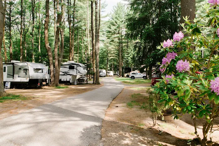 Wild Duck Adult Campground & RV Park Picture 8