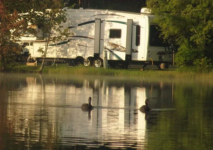 Paradise Park Resort Campground Picture 6