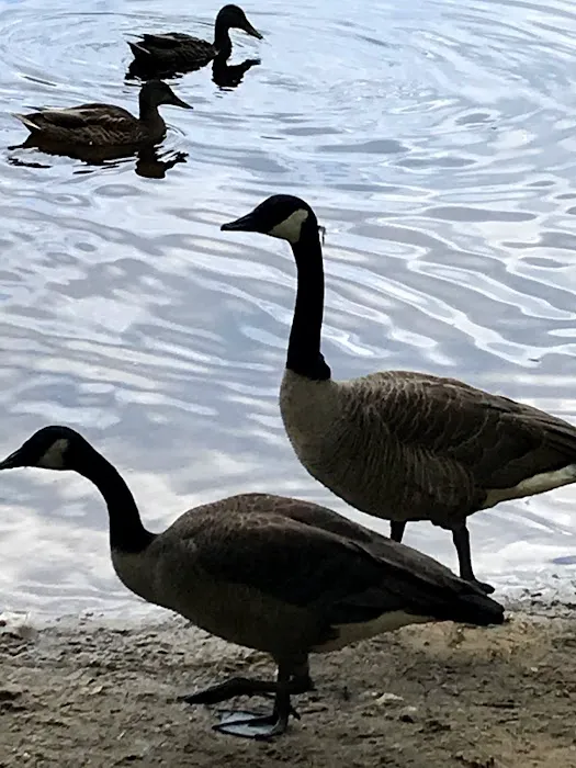 Acres of Wildlife Campground Picture 7