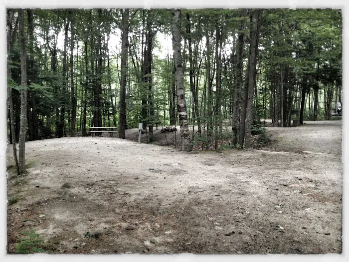 Sebago Lake Family Campground Picture 5