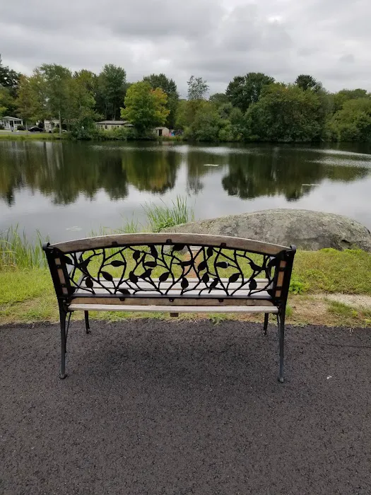 Pine and Pond Picture 2