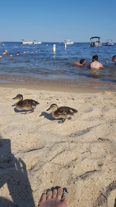 Nason's Beach & Campground Picture 7