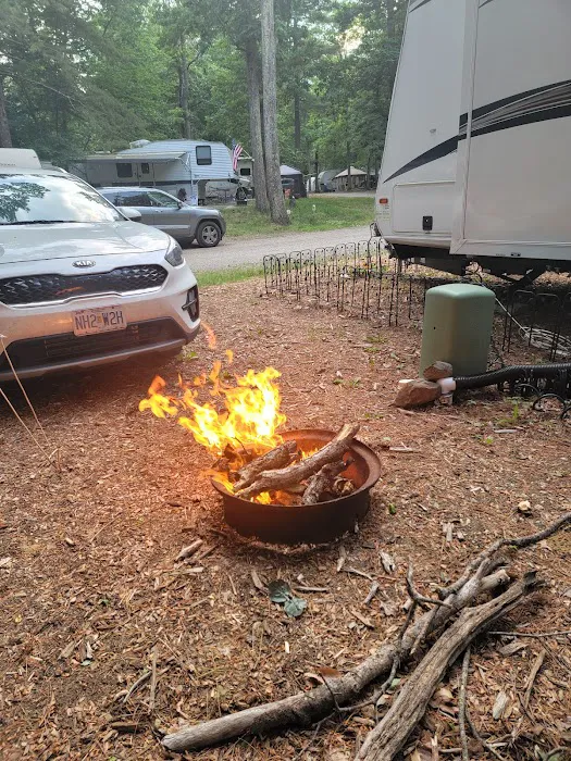 Black Bear Campground Picture 2