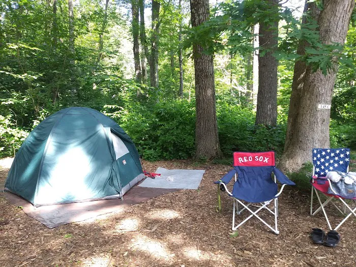 Black Bear Campground Picture 9