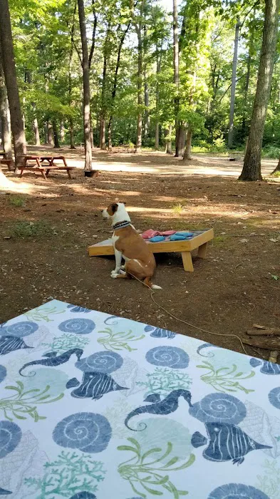 Black Bear Campground Picture 3