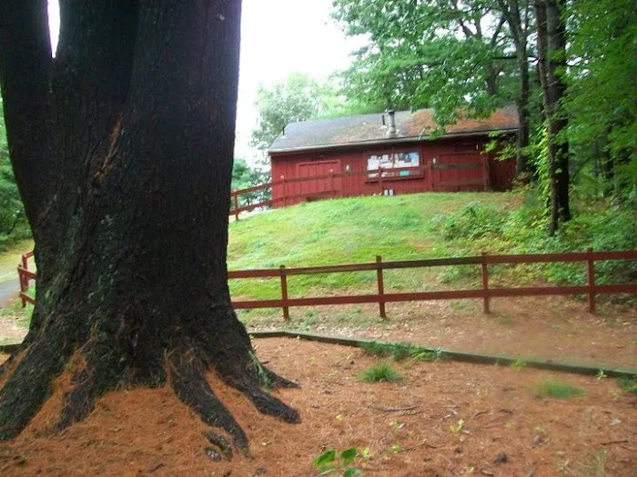 Rusnik Campground Picture 2