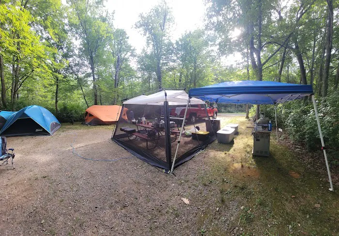 Pines Camping Area Picture 1