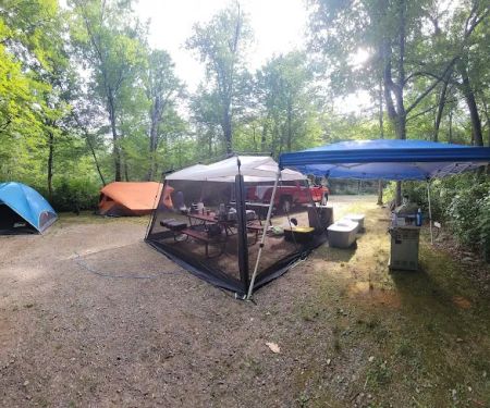 Pines Camping Area