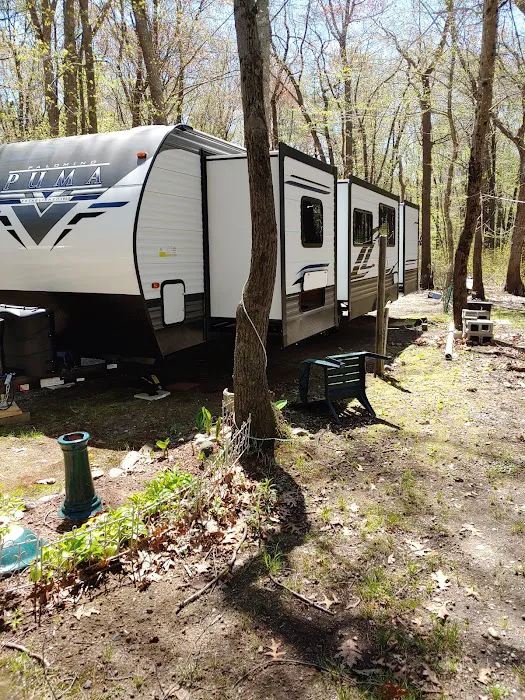 Pines Camping Area Picture 3