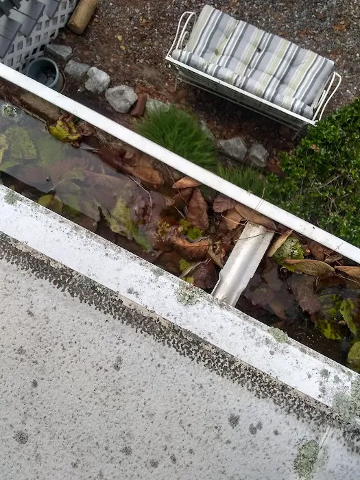 Meadowstone Park Picture 2