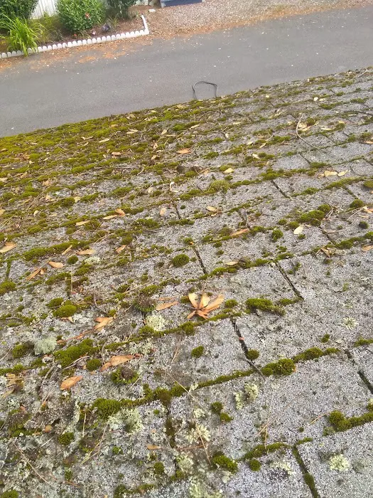 Meadowstone Park Picture 5