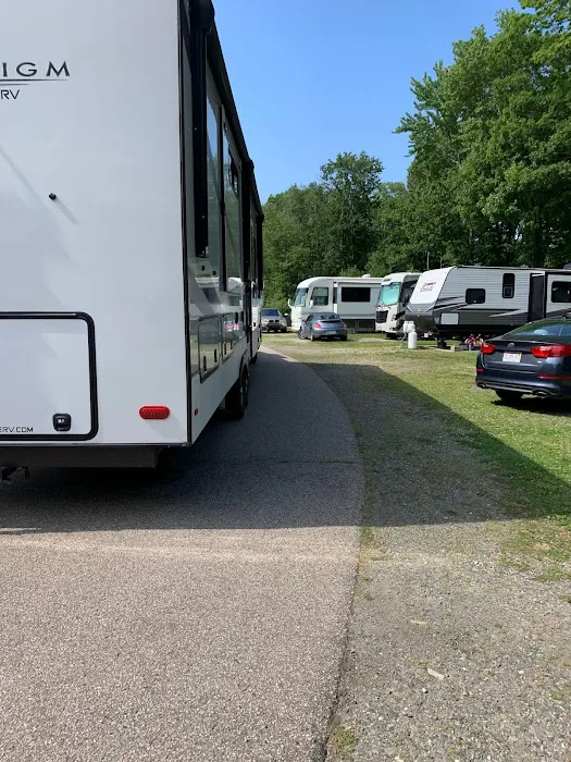 Beach Rose RV Park Picture 10