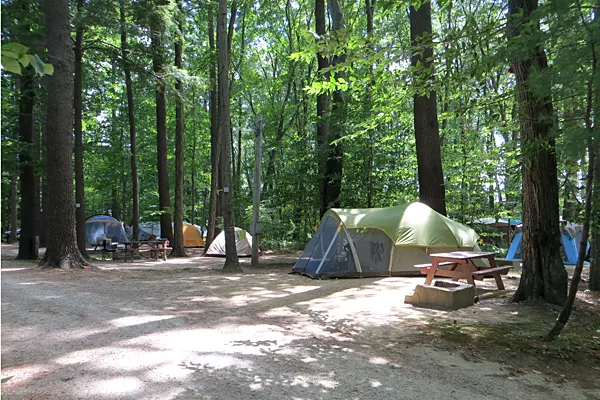 Tidewater Campground Picture 2
