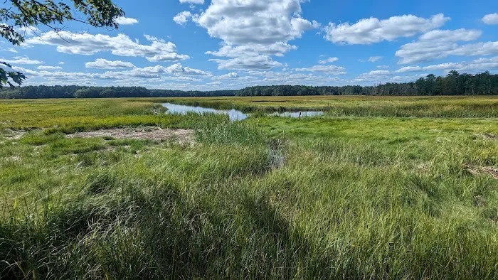 Tidewater Campground Picture 5