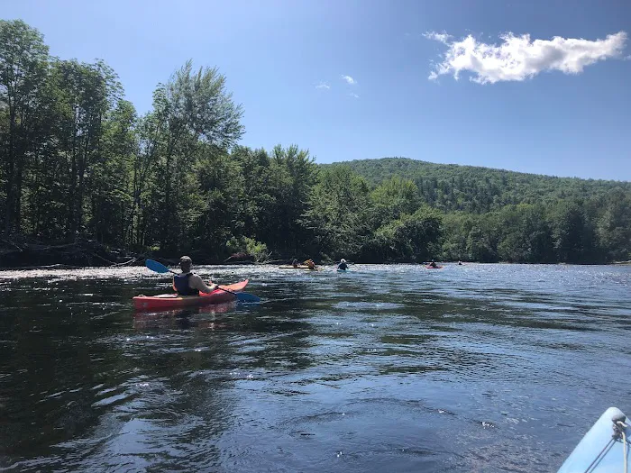 White Birches Camping Park Picture 3