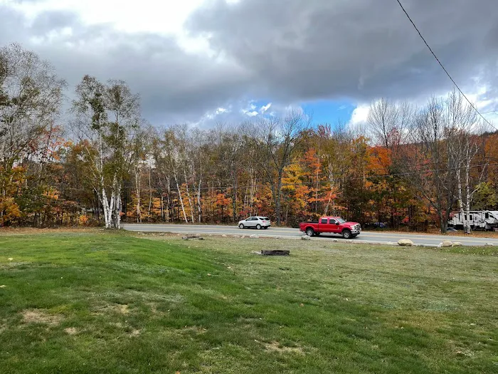 White Birches Camping Park Picture 7