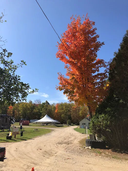 White Birches Camping Park Picture 4