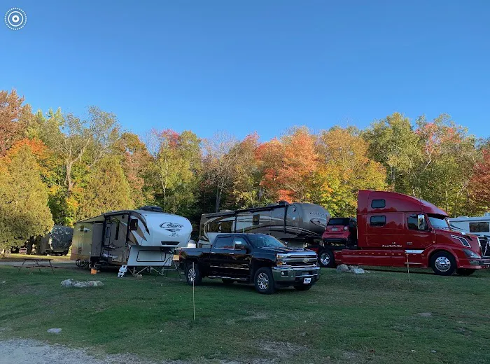 White Birches Camping Park Picture 8