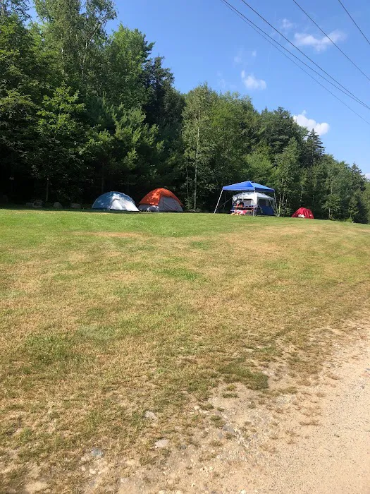 White Birches Camping Park Picture 9