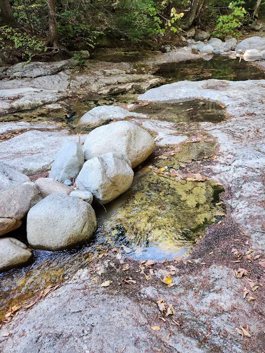 Rattle River Shelter Picture 4