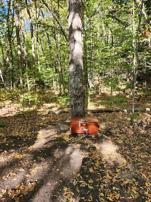Rattle River Shelter Picture 5