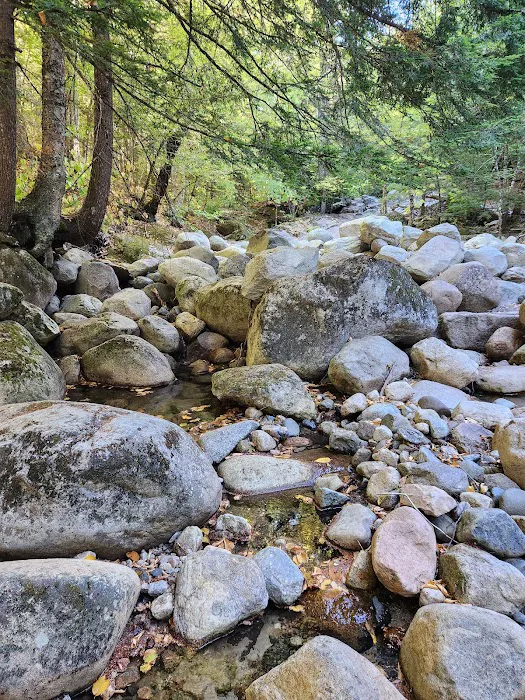 Rattle River Shelter Picture 9